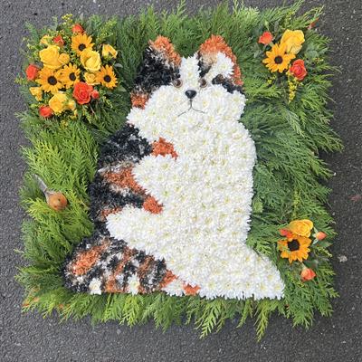 Cat tribute 