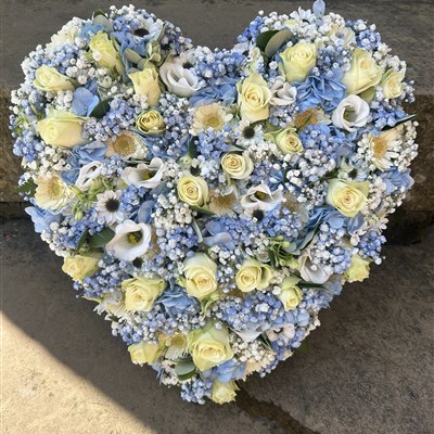 Loose powder blue heart 