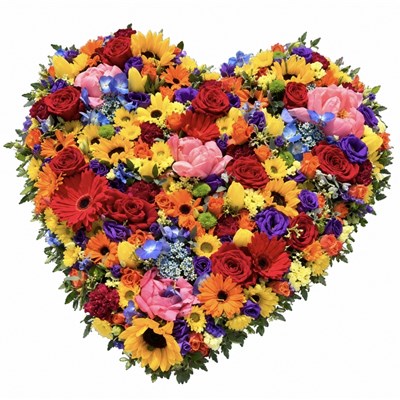 Large mixed colourful heart tribute 
