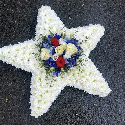 Star tribute 